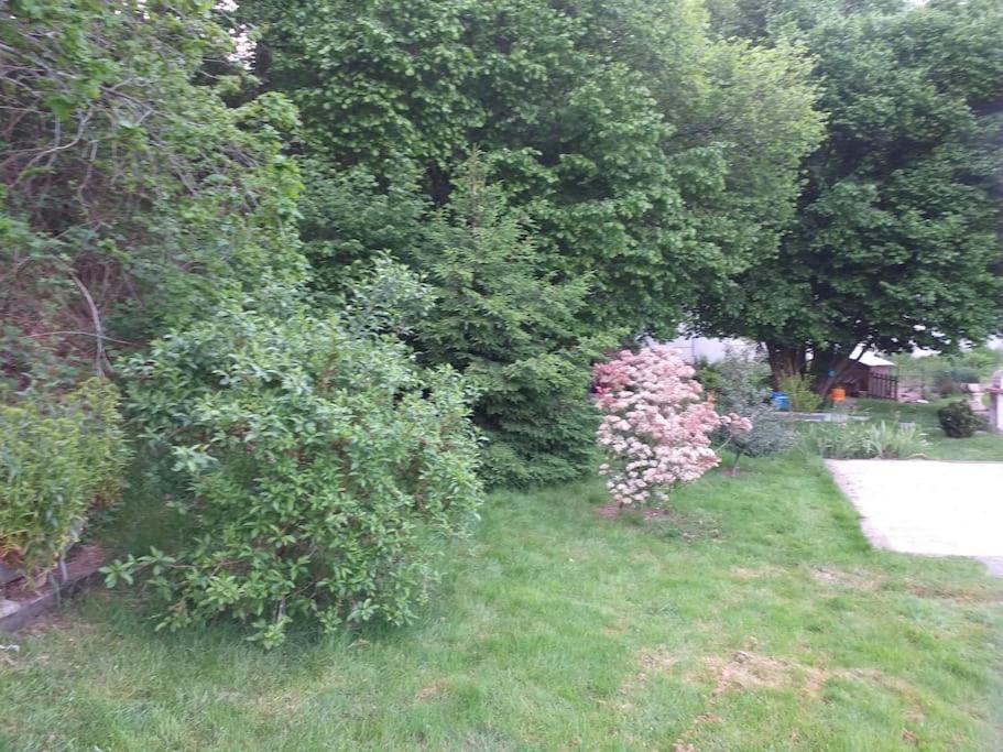Gite La Fermette A Docelles Exterior foto
