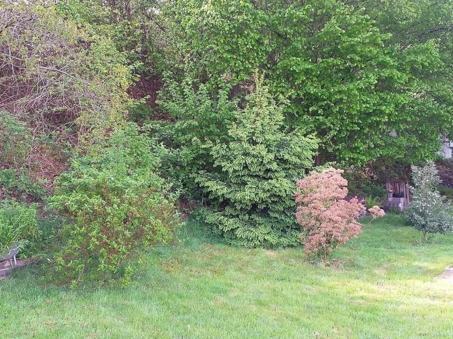Gite La Fermette A Docelles Exterior foto